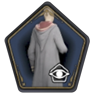 Golden Trimmed School Robe