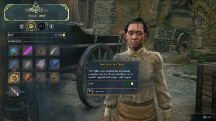 Hogwarts Legacy - Pitt-upon-Ford Hamlet