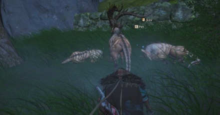 Wild Hearts - Pet Icon