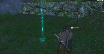 Wild Hearts - Item Drop