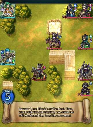 Dutiful Queen & Knight Fire Emblem Heroes FEH