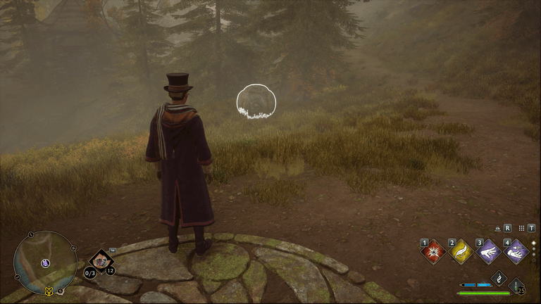 Hogwarts Legacy - Giant Ball Merlin Trial