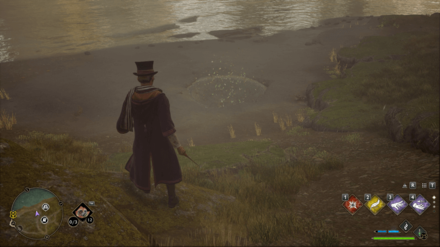 Hogwarts Legacy - South of Hogwarts Castle Merlin Trial - Platform