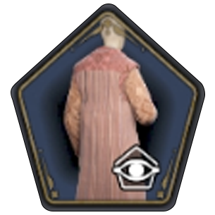 Crimson Patterned Robe