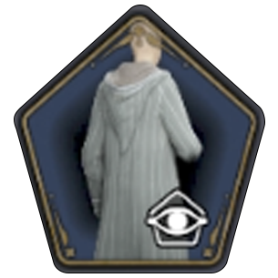Mysterious Corduroy Robe