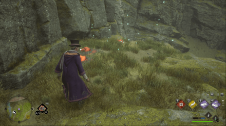 Hogwarts Legacy - Southwest of Quidditch Arena Merlin Trial - Butterflies 2