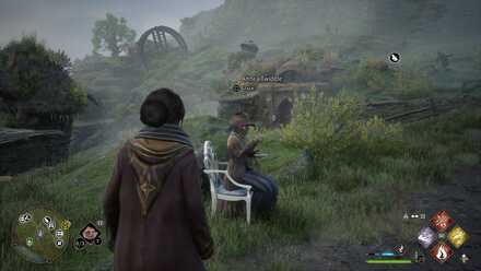 Hogwarts Legacy E-Vase-Ive Manoeuvre Location