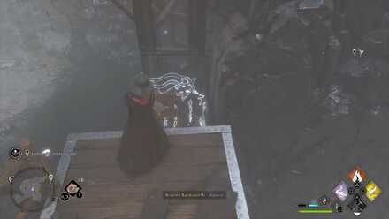 Hogwarts Legacy Dissending for Sweets 8