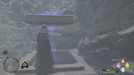 Hogwarts Legacy Dissending for Sweets 6