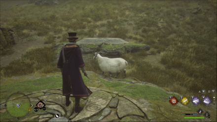 Hogwarts Legacy - West of Lower Hogsfield Merlin Trial - Slot 1