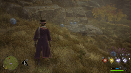 Hogwarts Legacy - South of Aranshire Merlin Trial - Balls 3