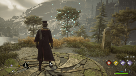 Hogwarts Legacy - Southwest of Aranshire Merlin Trial - Butterflies 1