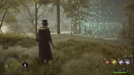 Hogwarts Legacy - Southwest of Aranshire Merlin Trial - Butterflies 3