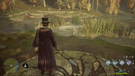 Hogwarts Legacy - Far Southwest of Aranshire Merlin Trial - Platform