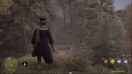 Hogwarts Legacy - East of Aranshire Merlin Trial - Platform