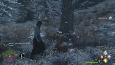Hogwarts Legacy - Follow the Quest-Specified Butterflies