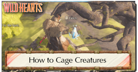 Wild Hearts - Catching Banner