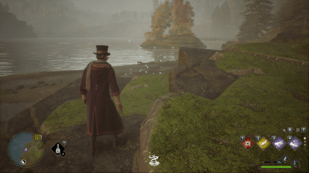 Hogwarts Legacy - Northwest of Aranshire Merlin Trial - Butterflies 1