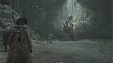 Hogwarts Legacy - defeat the loyalists and their trolls