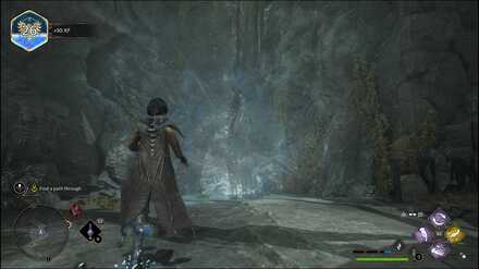 Hogwarts Legacy - find a path through