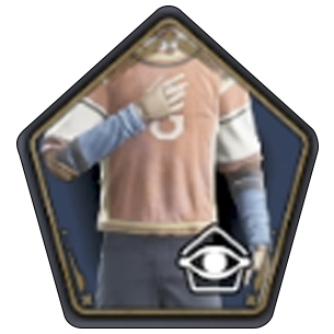 Worn Quidditch Uniform