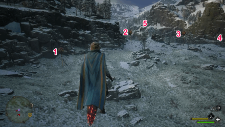 North Hogwarts Region Balloon