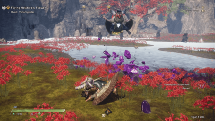 Wild Hearts - Avoid the Kemono