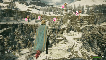 North Ford Bog Balloon