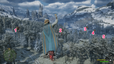 Hogwarts Valley Balloon 7