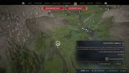 Hogwarts Legacy Kidnapped Cabbage 2