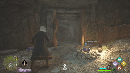 Hogwarts Legacy - West of West Forbidden Flame Step 1