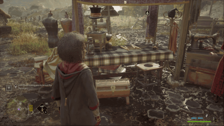 Manor Cape Bainburgh 3