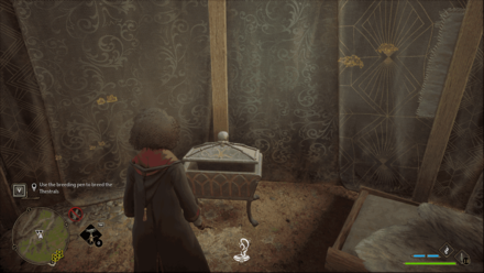 Manor Cape Bainburgh 4