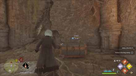 Hogwarts Legacy - Northwest of West Forbidden Forest FF Step 3