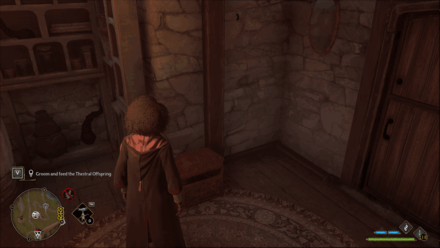 Marunweem Lake Marunweem 4