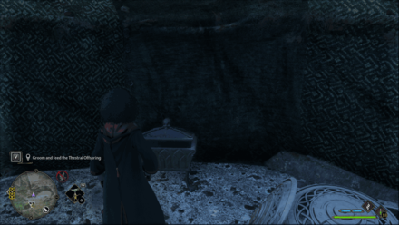 South Sea Bog South Sea Bog