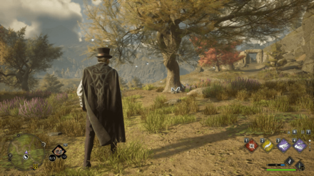 Hogwarts Legacy - Southeast of the Collector