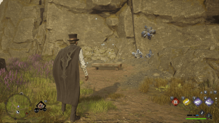 Hogwarts Legacy - Southeast of the Collector