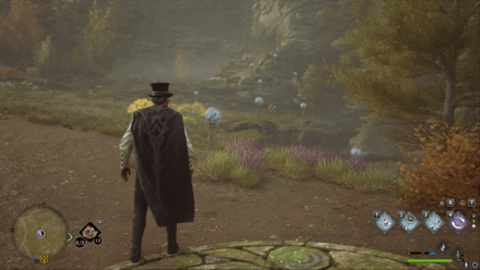 Hogwarts Legacy - West of the Forbidden Forest Floo Flame Merlin Trial - Balls