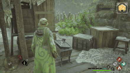 Forbidden Forest North Ford Bog Entrance