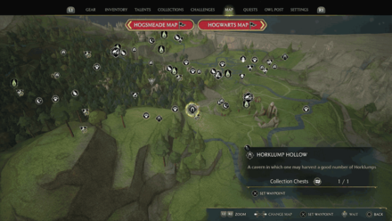 Forbidden Forest Horklump Hollow map