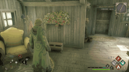 North Ford Bog Pitt Upon Ford 4