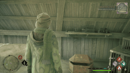 North Ford Bog Pitt Upon Ford 3