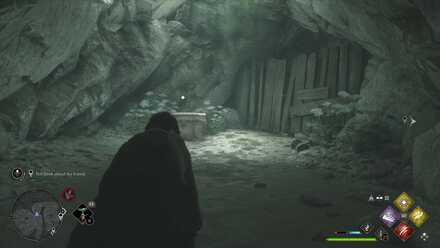 Hogwarts Legacy Plight of the House-Elf 4