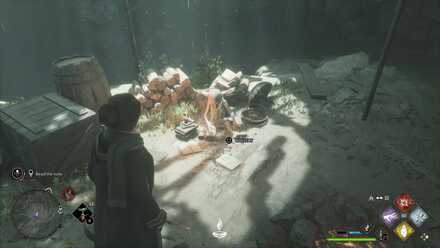 Hogwarts Legacy Plight of the House-Elf 3c