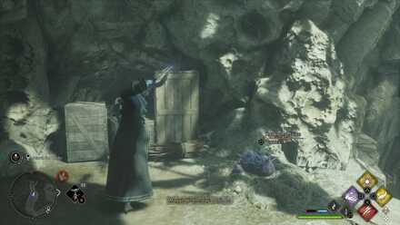 Hogwarts Legacy Plight of the House-Elf 3b