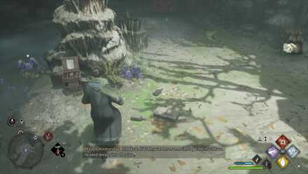 Hogwarts Legacy Plight of the House-Elf 3