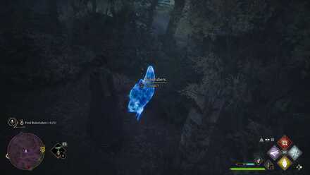 Hogwarts Legacy Spot Removal Bubotuber 3