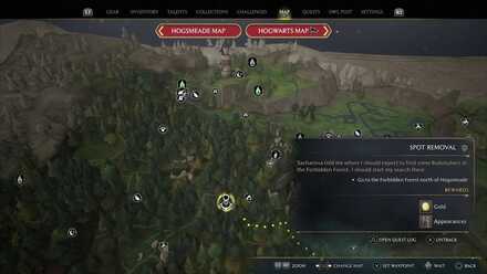 Hogwarts Legacy Spot Removal 2