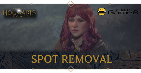 Hogwarts Legacy Spot Removal